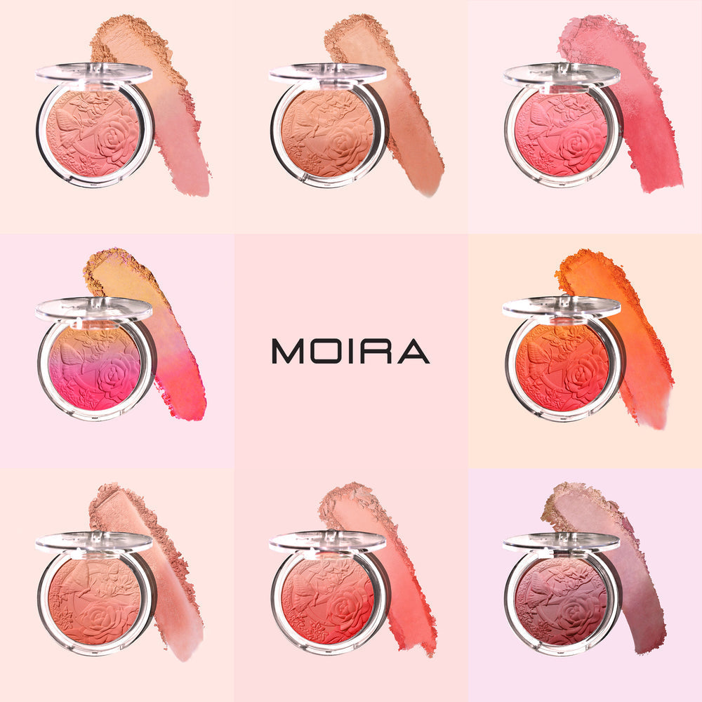 MOIRA Signature Ombre Blush w/Display 24pcs Display + Tester